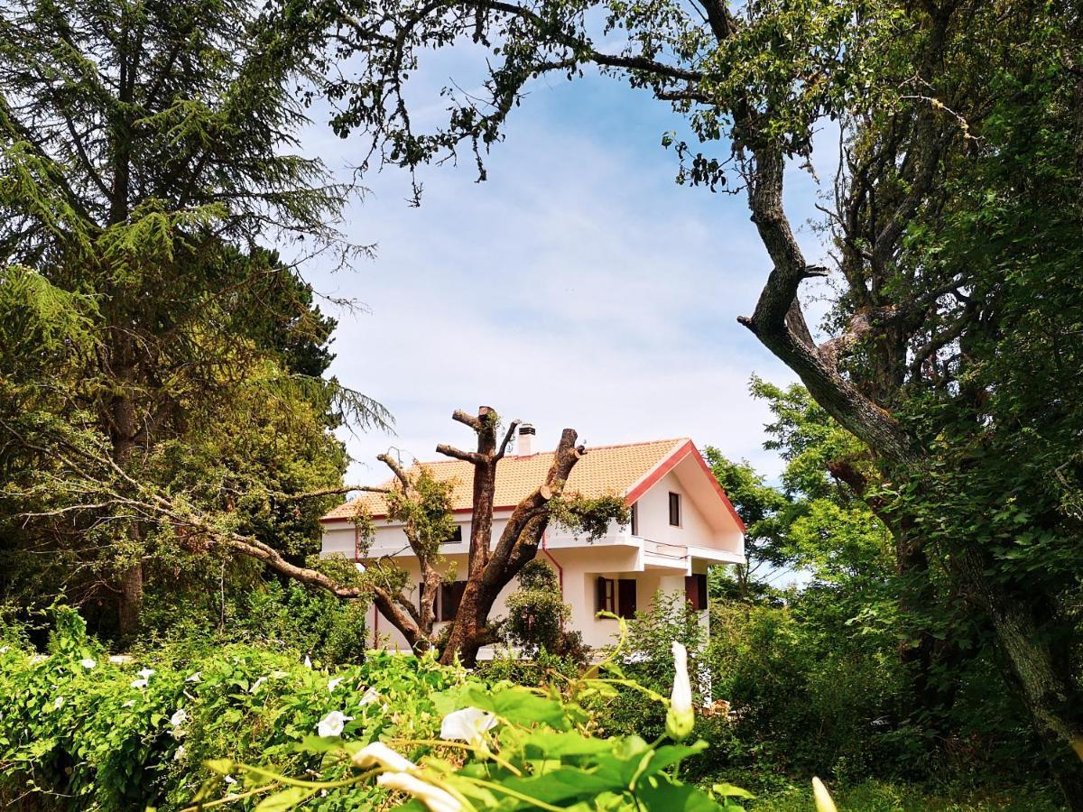 Locanda Sottobosco Vendégház San Leonardo de Siete Fuentes Kültér fotó